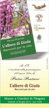 L'albero di Giuda